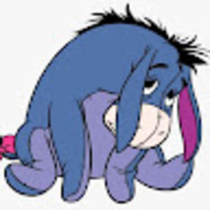 Meet your Posher, Paige